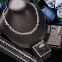 Luxurious Silver Adornments